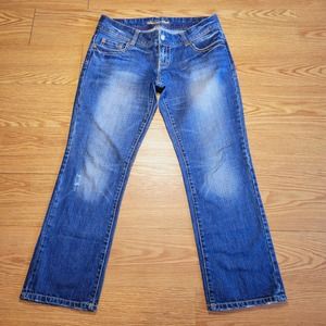 American Eagle Women's Mid Rise Straight Leg Denim Blue Jeans Size 8 Regular